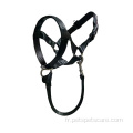 Tête de chien durable Colla Training Outil